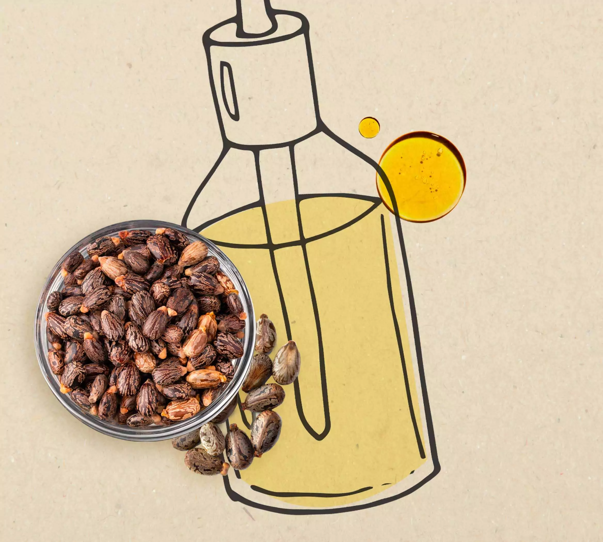 Castor oil: the humble ingredient that promises healthy hair