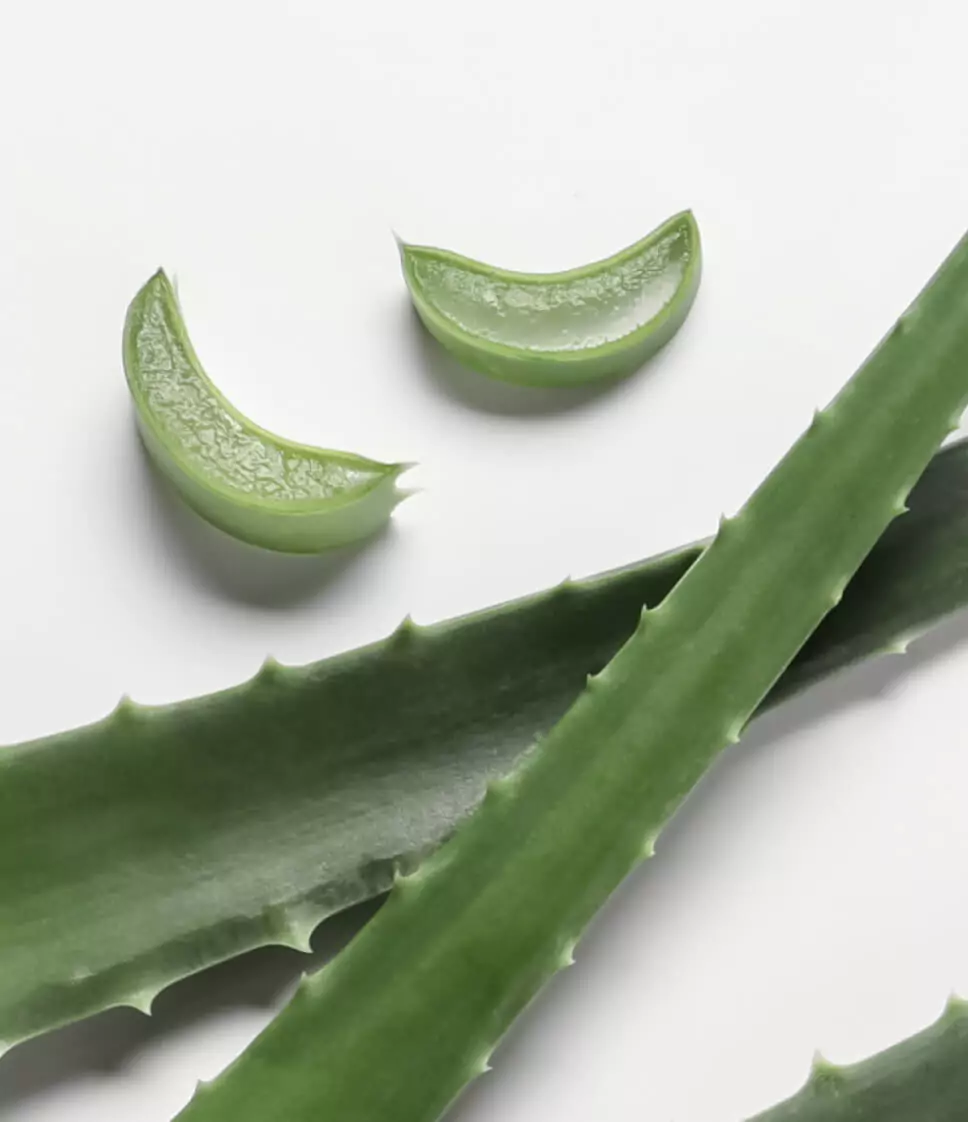 Dermaplaning 101: Everything you need to know about face shaving