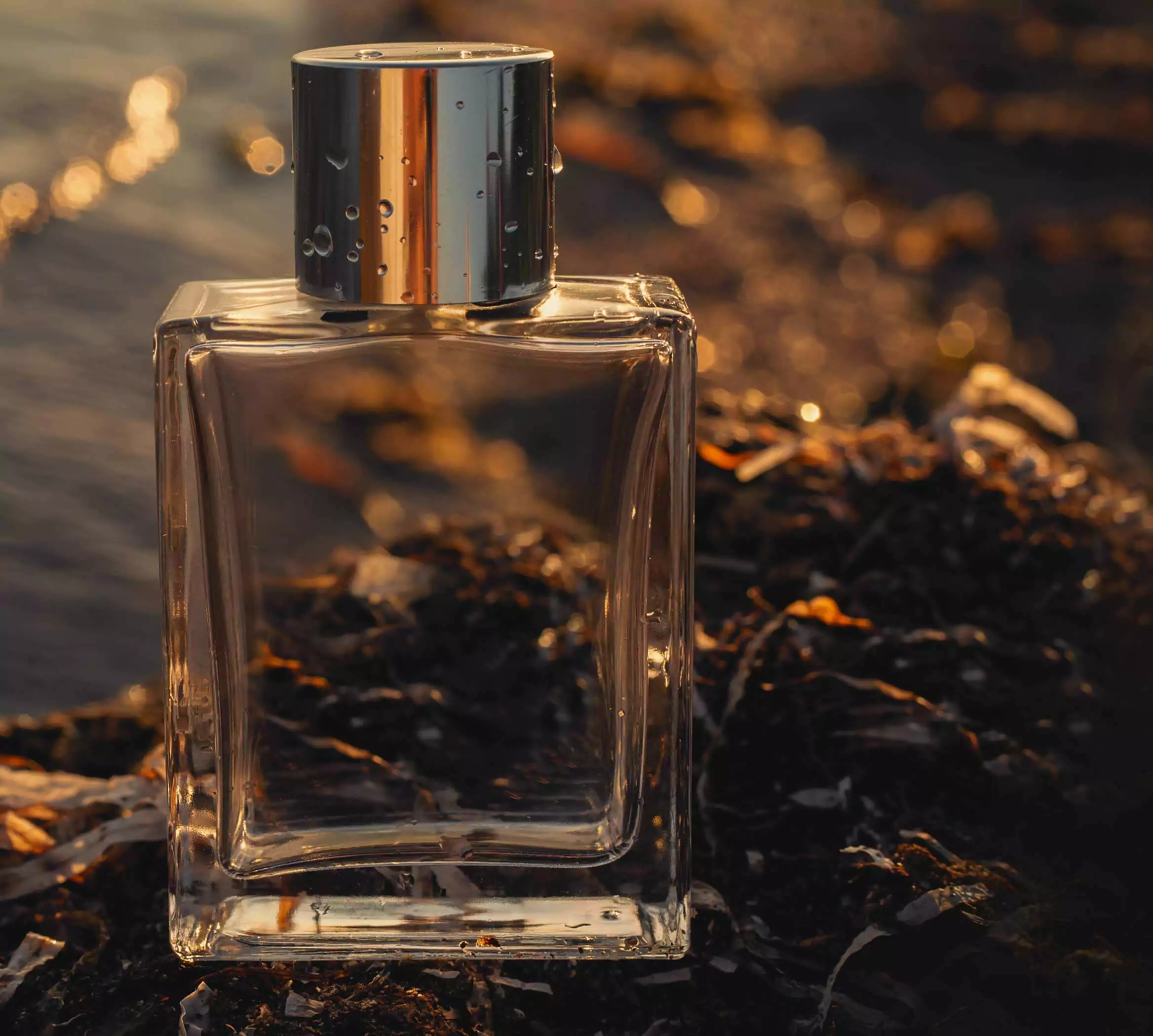 Everything you need to know about beast mode fragrances