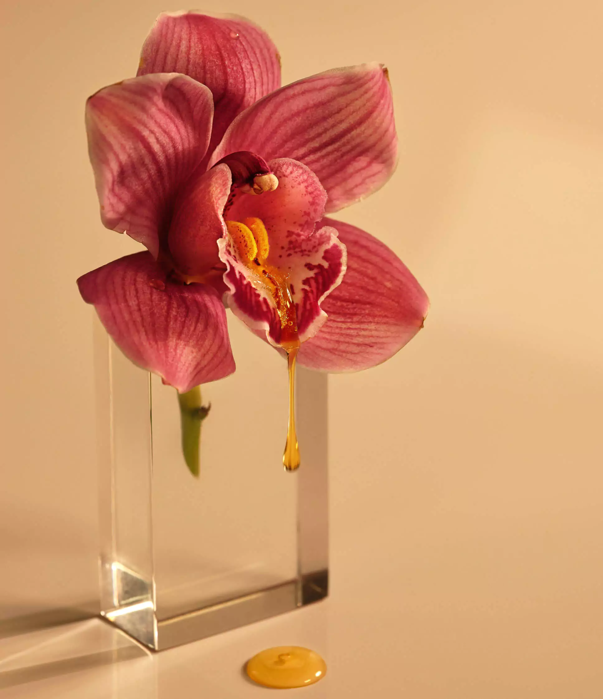 Flaunt those florals: the best floral scents for 2023