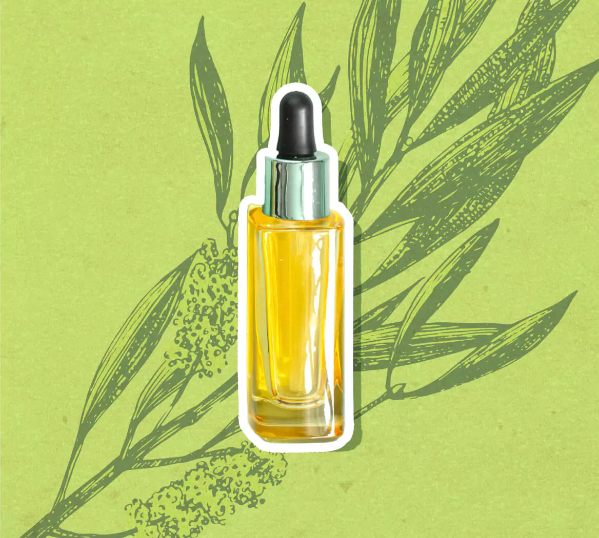 Tea tree hair oil: what makes this scalp treatment a must-have