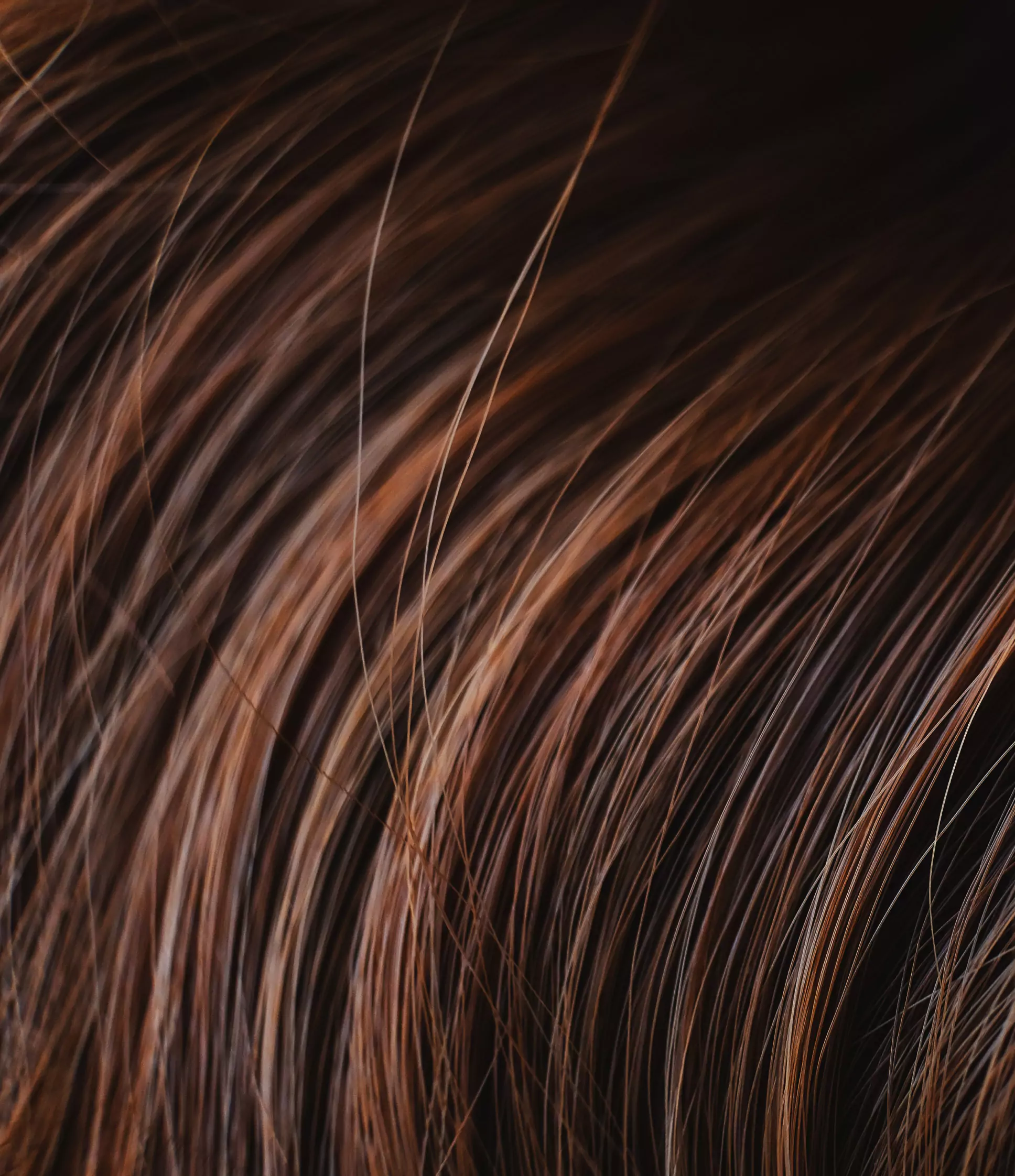 Tira picks the best dry shampoos for your hair