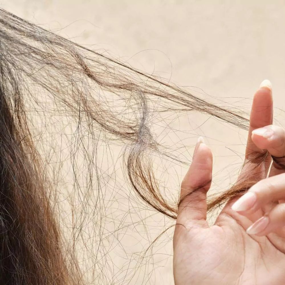 Frizz, be gone! Six ways to manage that mane this monsoon season