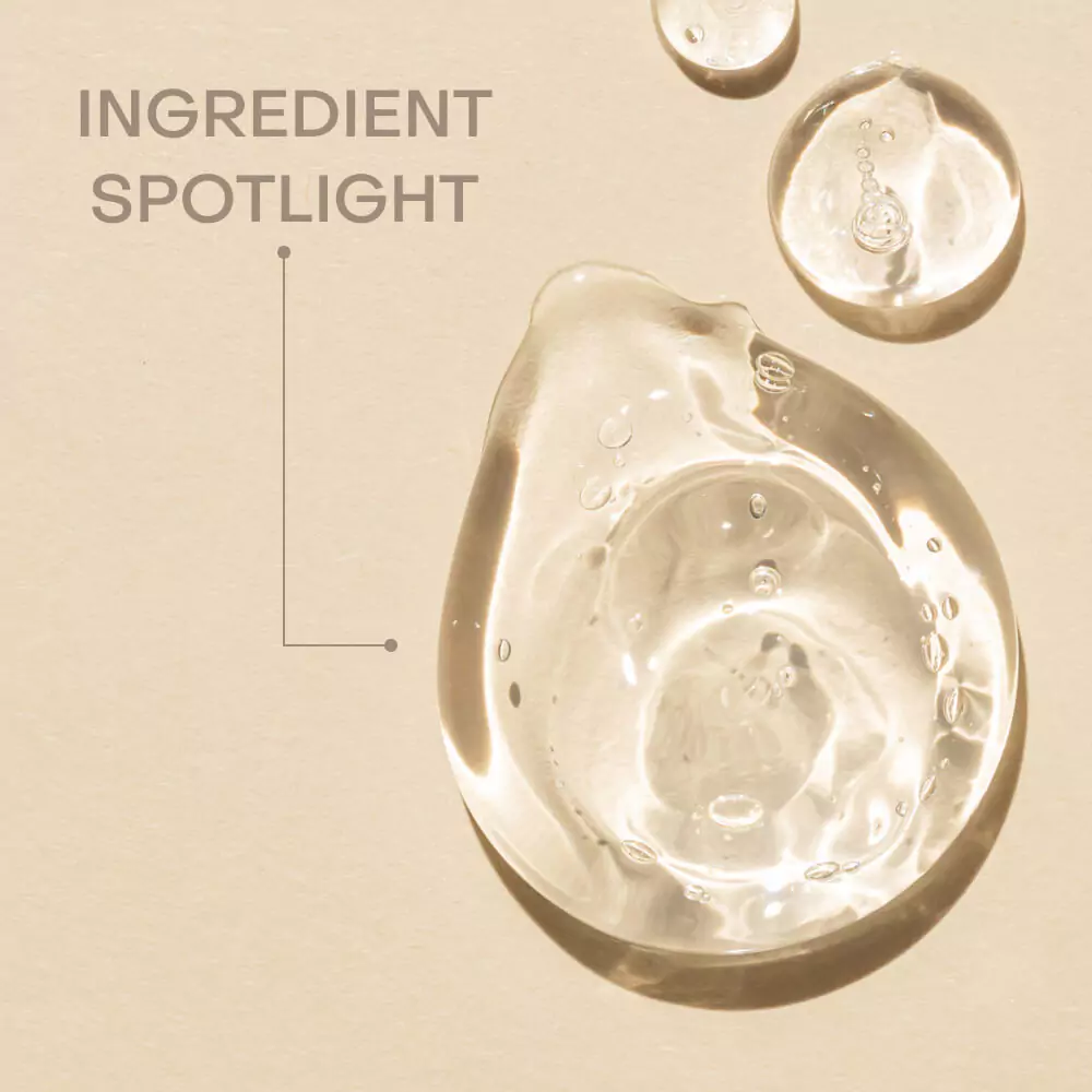 7 ingredients that are a must in your monsoon skincare routine