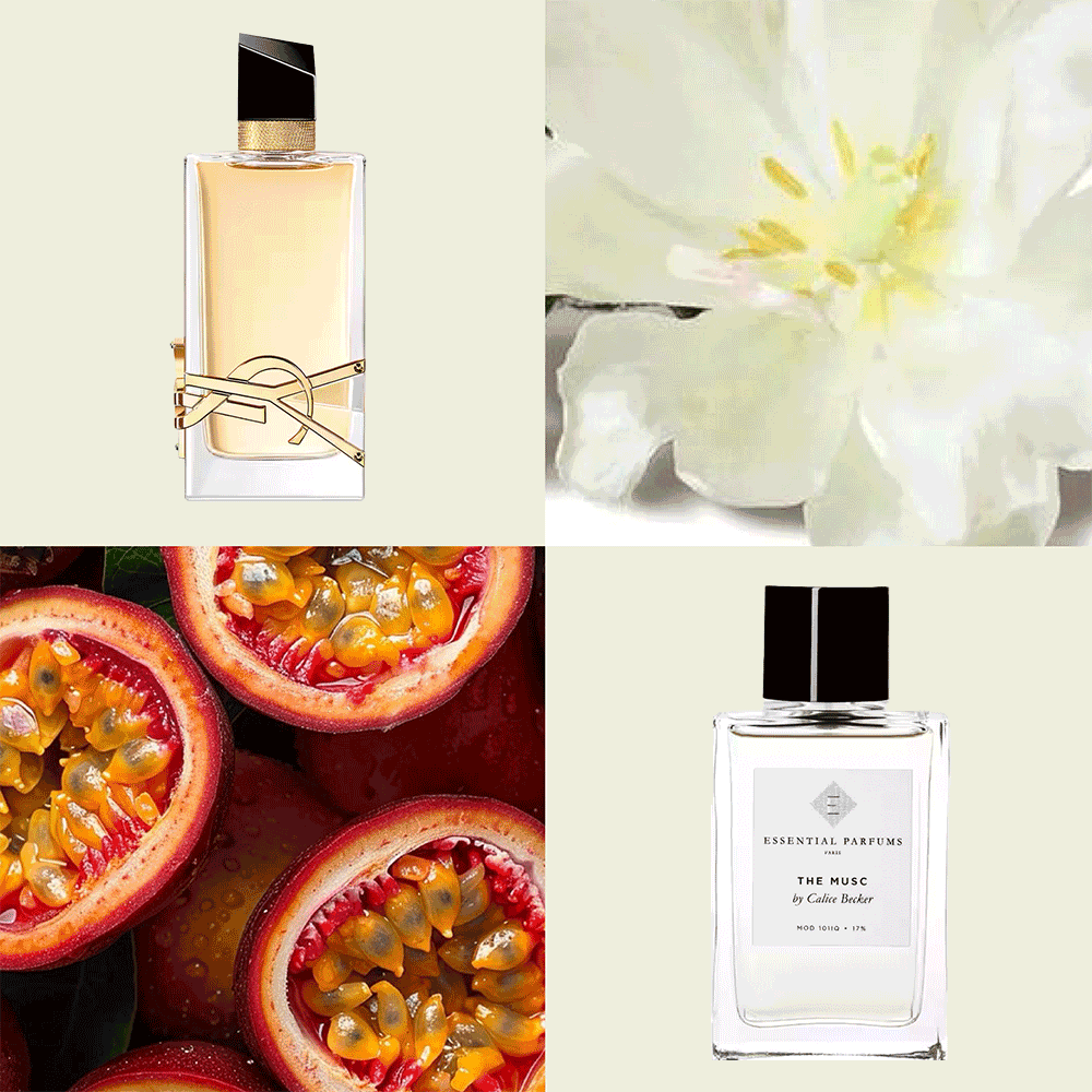 5 winter fragrance notes to warm you up this season