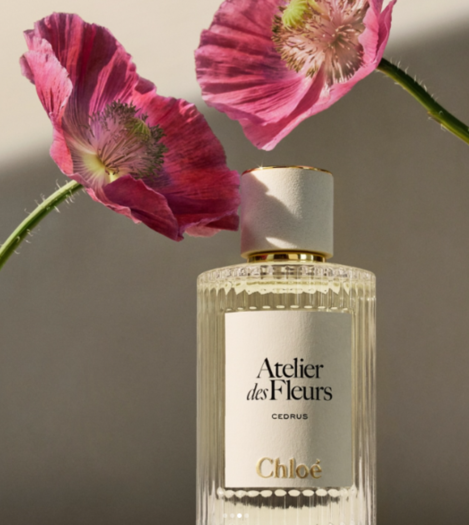 7 beauty launches in December that are on our radar