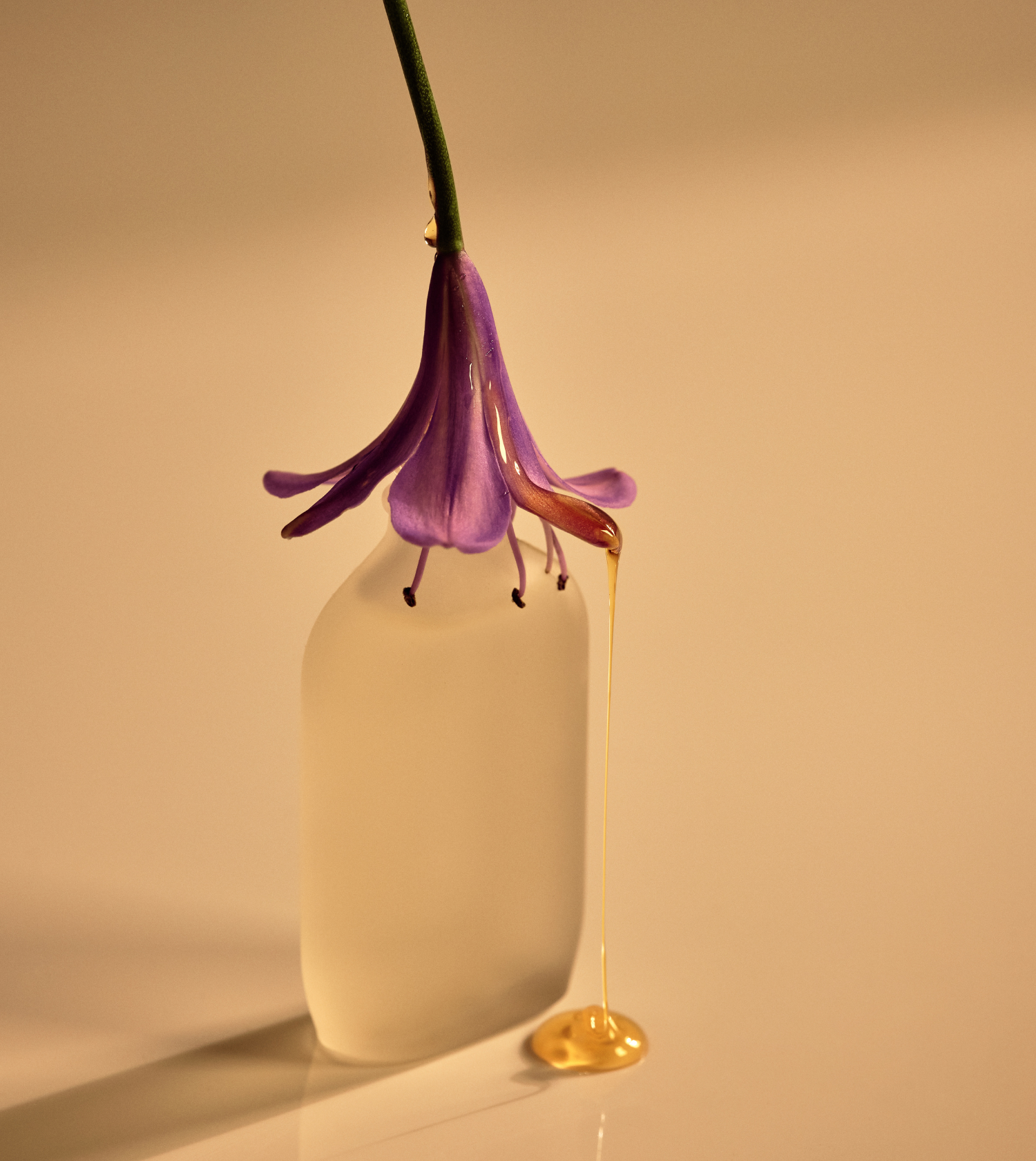 A guide to finding your 2026 fragrance based on your New Year's resolution