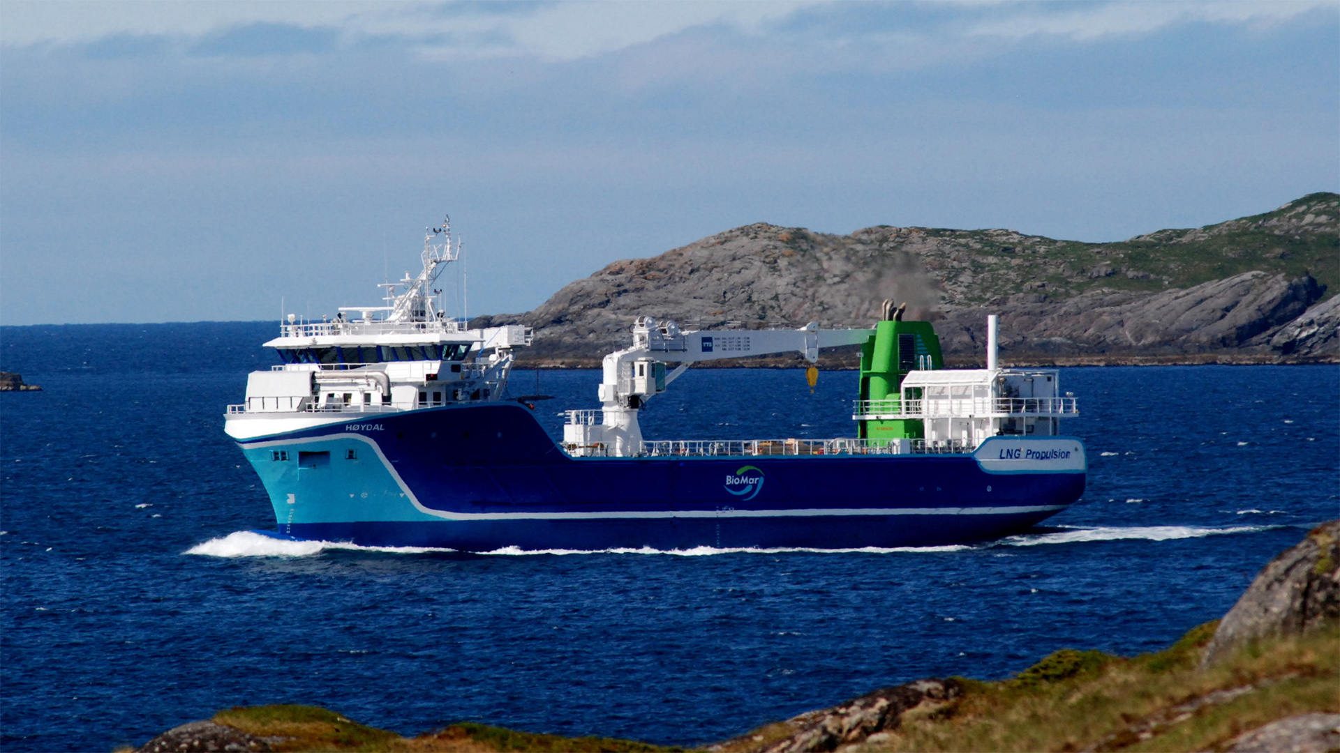 Information about LFF