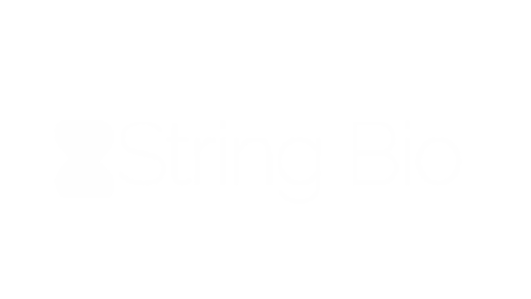 Brnad Logo