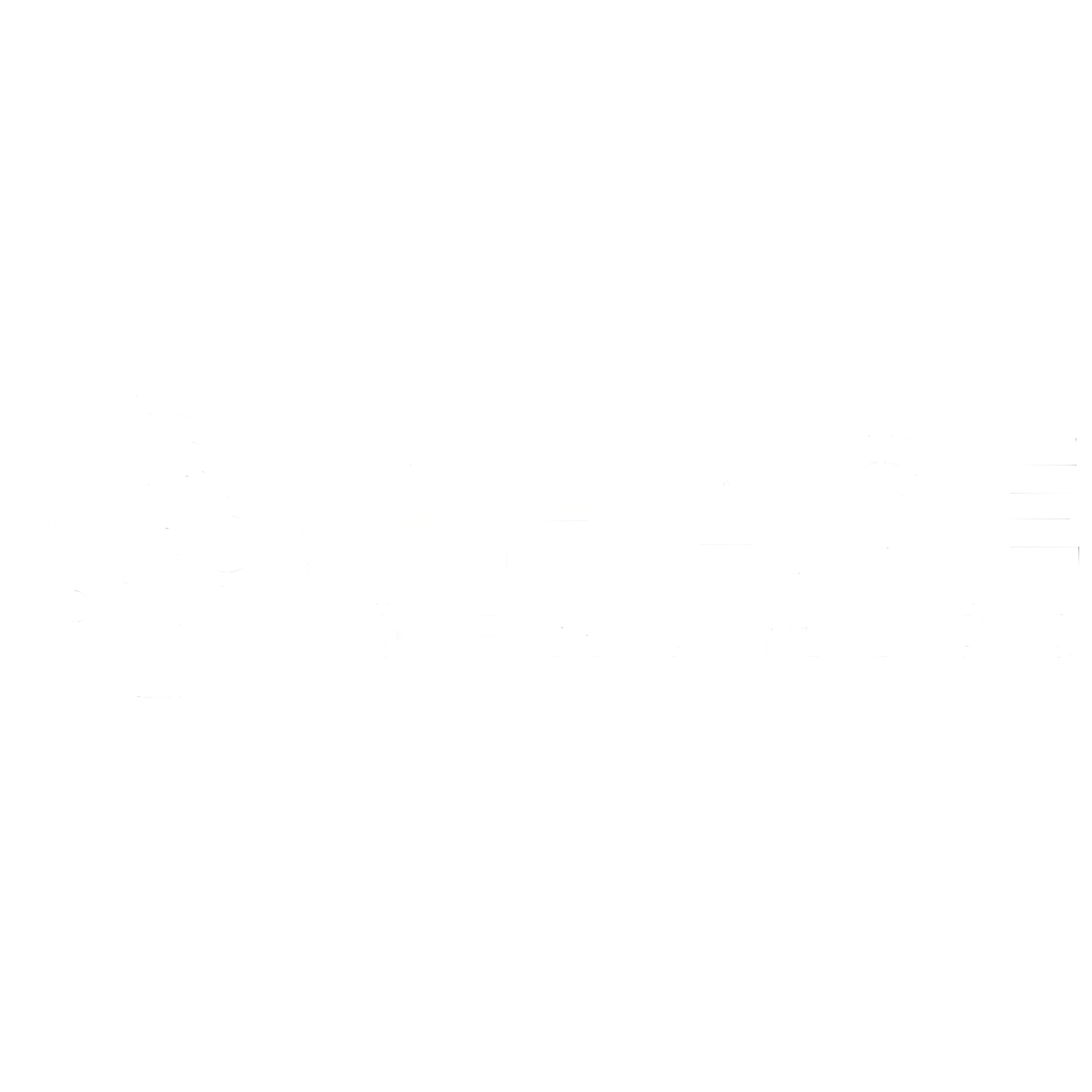 Brnad Logo