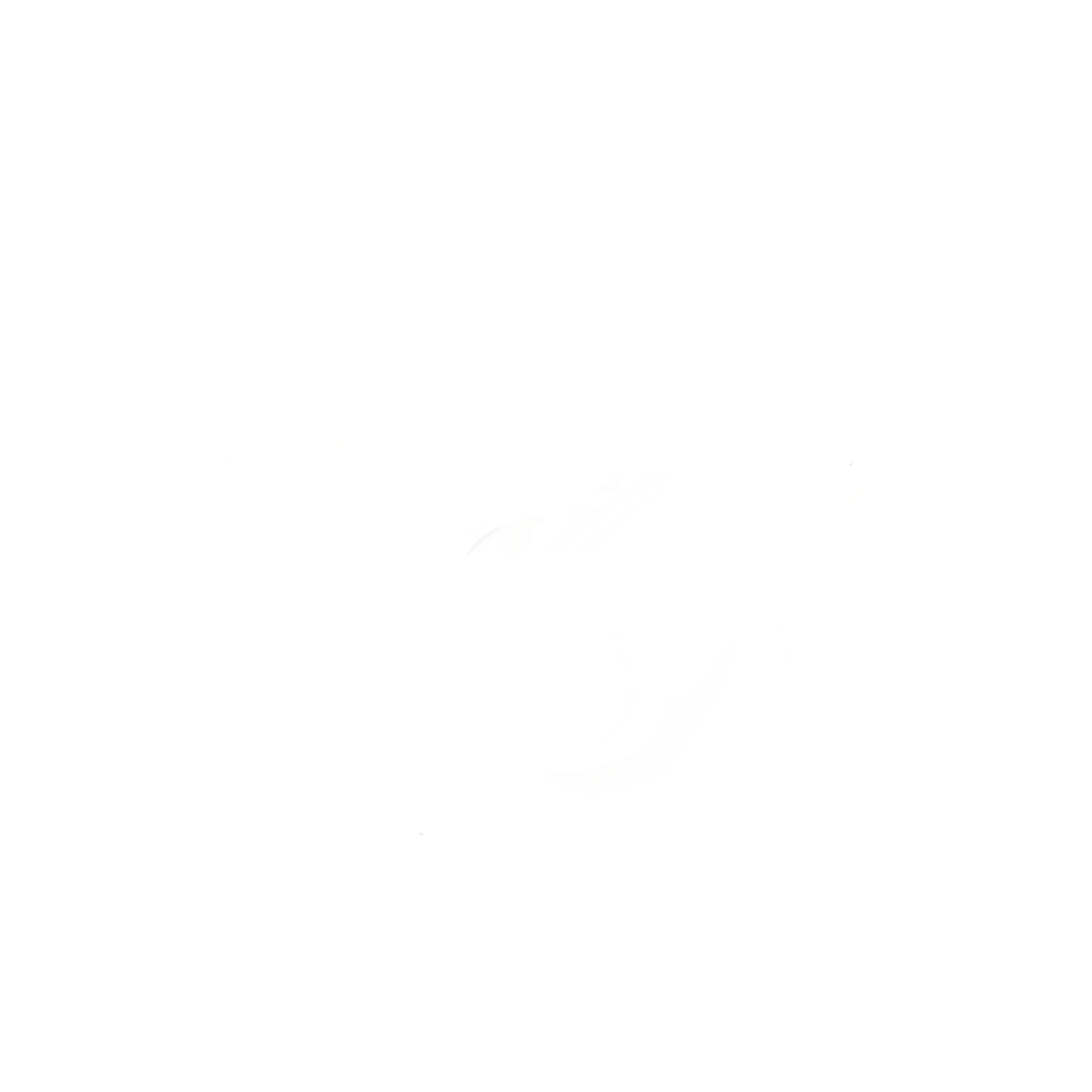 Brnad Logo