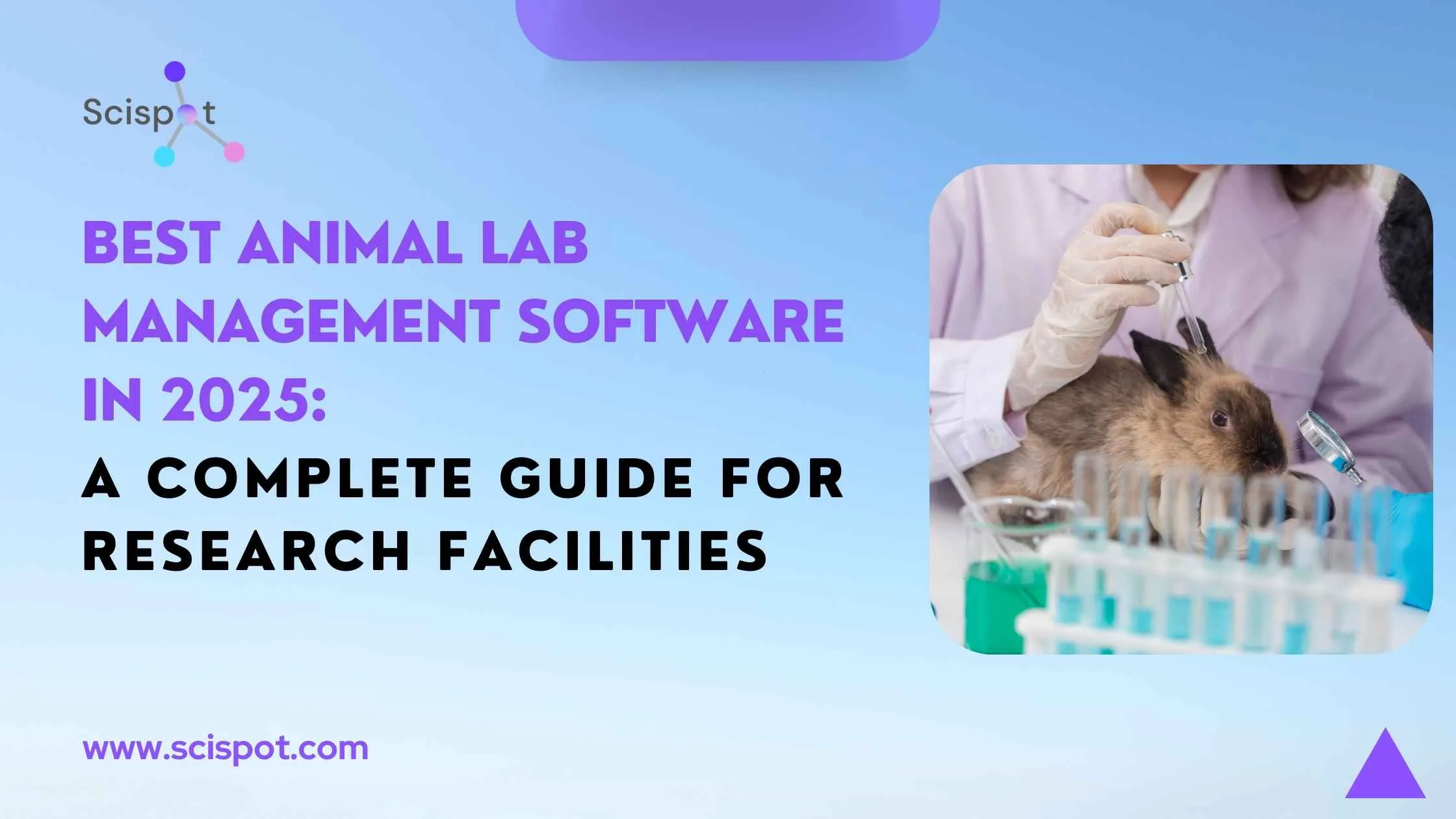 Best Animal Lab Management Software in 2025: A Complete Guide for Research Facilities