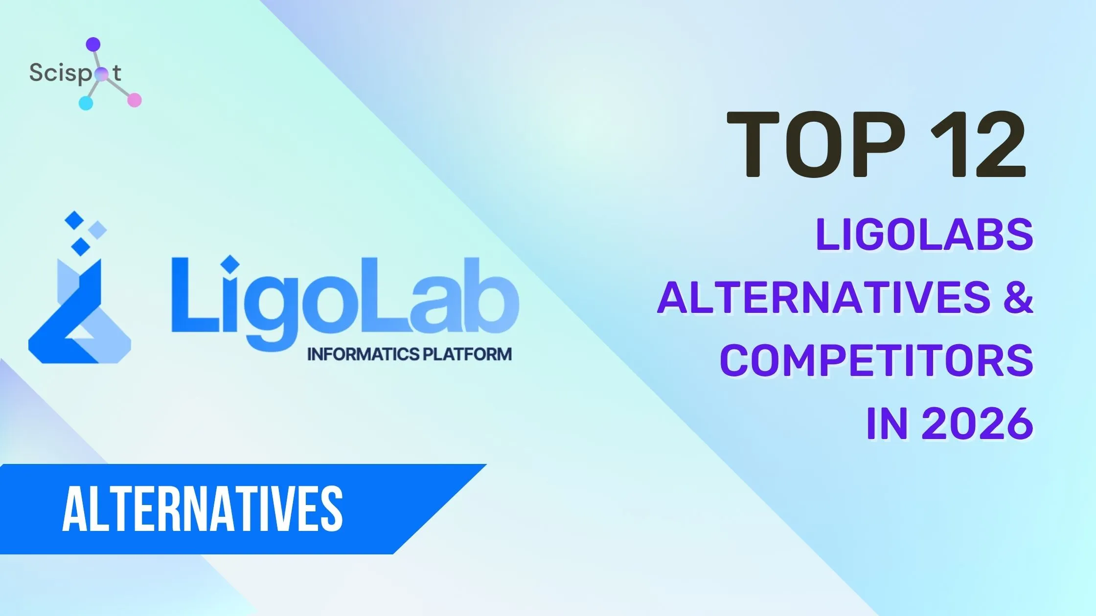 Top 12 LigoLabs Alternatives & Competitors in 2026