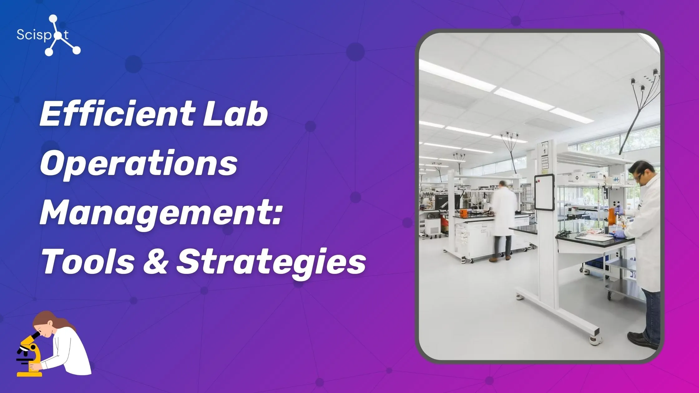 How do different institutions organize their lab operations?
