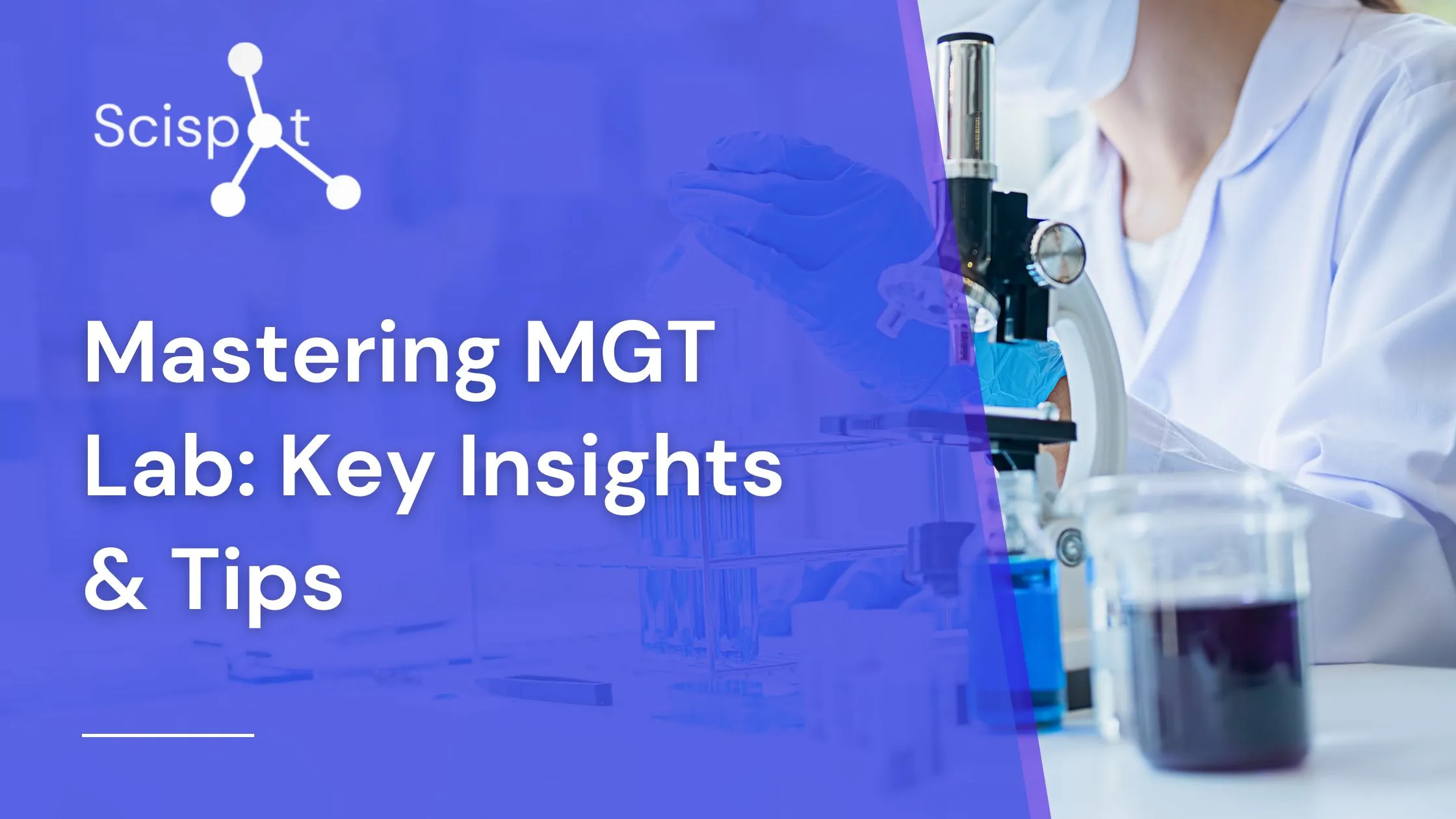 Mastering MGT Lab: Key Insights & Tips