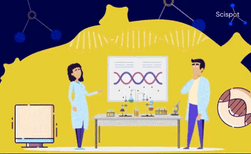 Top 8 Alternative CRISPR-Cas9 Gene Editing Technologies
