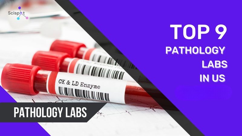 The Top 9 Pathology Labs in the U.S. for 2026