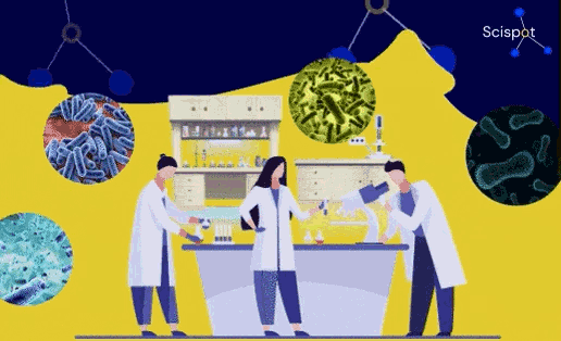 Exploring the Human Microbiome: Unveiling the Top 20 Companies Leading Microbiome Research in the US