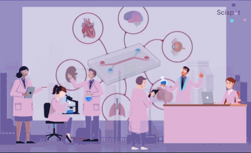 Pioneering Biomedical Engineering: The Top 20 Innovative Organ-on-a-Chip Companies in 2026