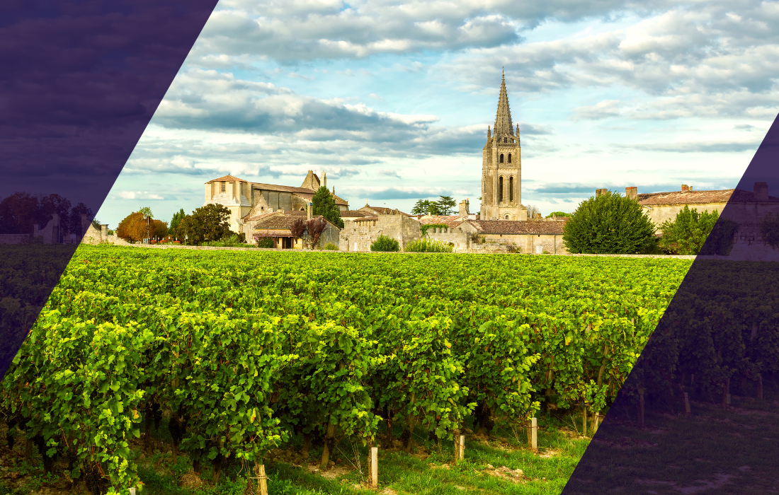 Bordeaux 2025 En Primeur: The Investment Case