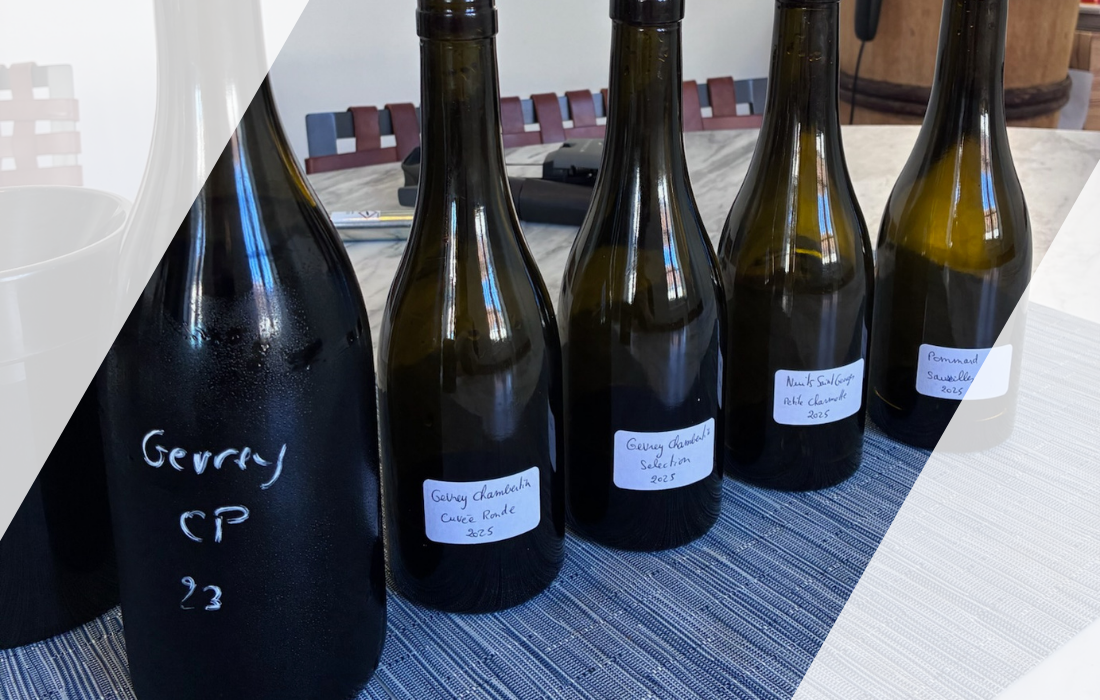 Inside Domaine Marchand-Tawse: Forty Years of Doing Nothing the Same