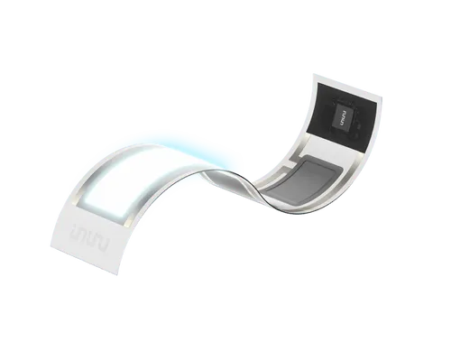 Elf Image
