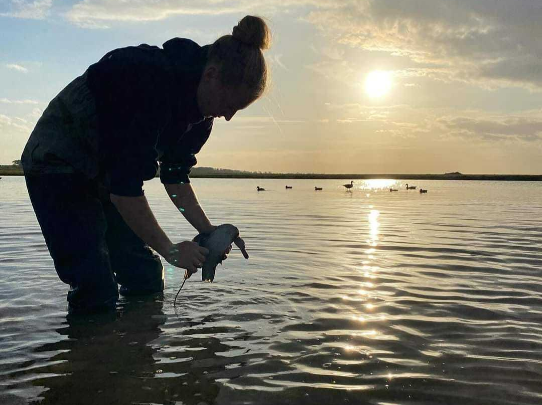 Chasse au gibier d’eau : découvrir la tonne, la hutte et le gabion