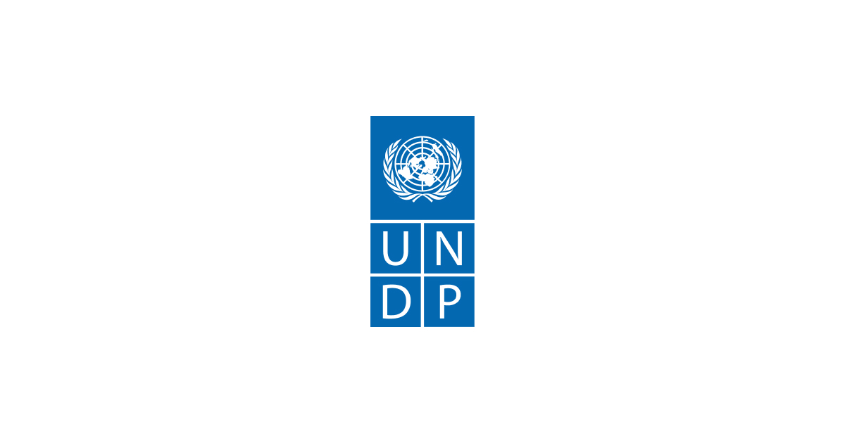 UNDP Digital Standard Overview