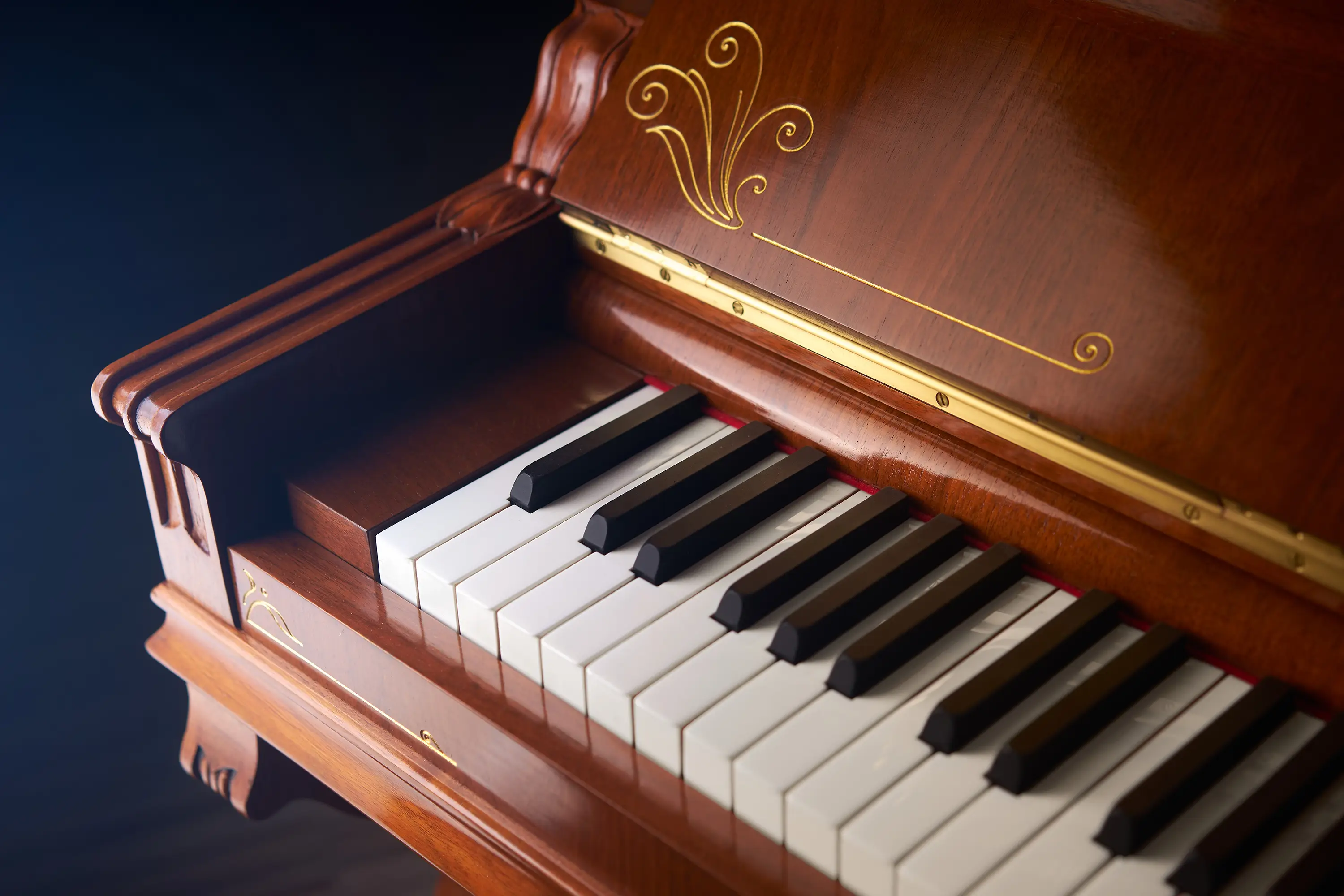 Elfenbein Tasten Ed. Seiler – Gebrauchtes Klavier kaufen in Berlin (Steglitz)