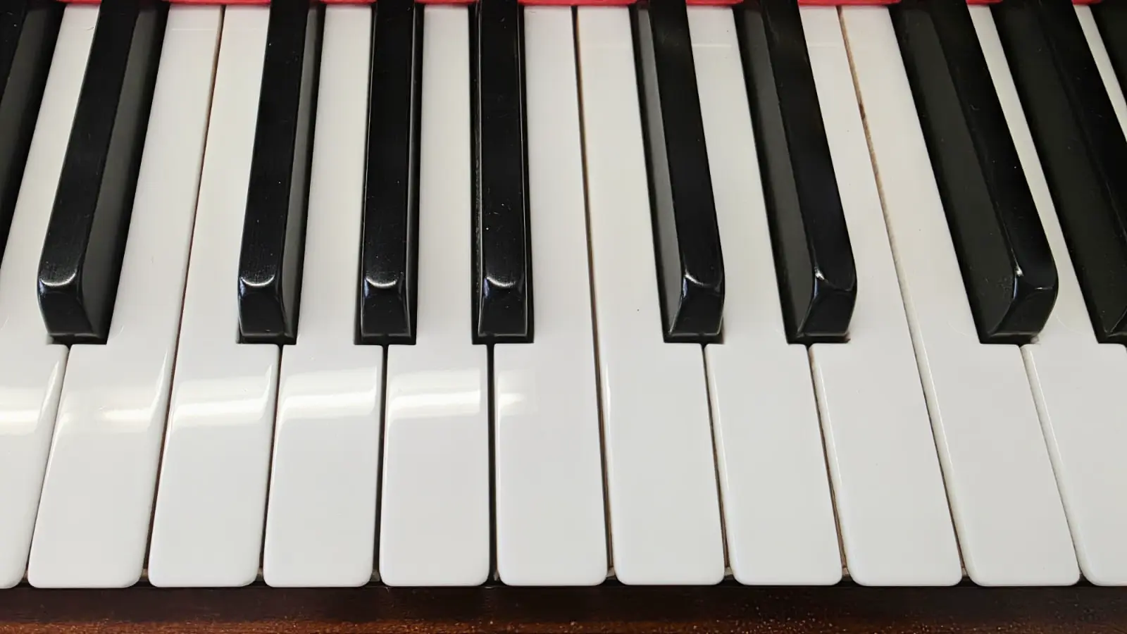 Tasten - STEINWAY & SONS Modell Z (Z-114)