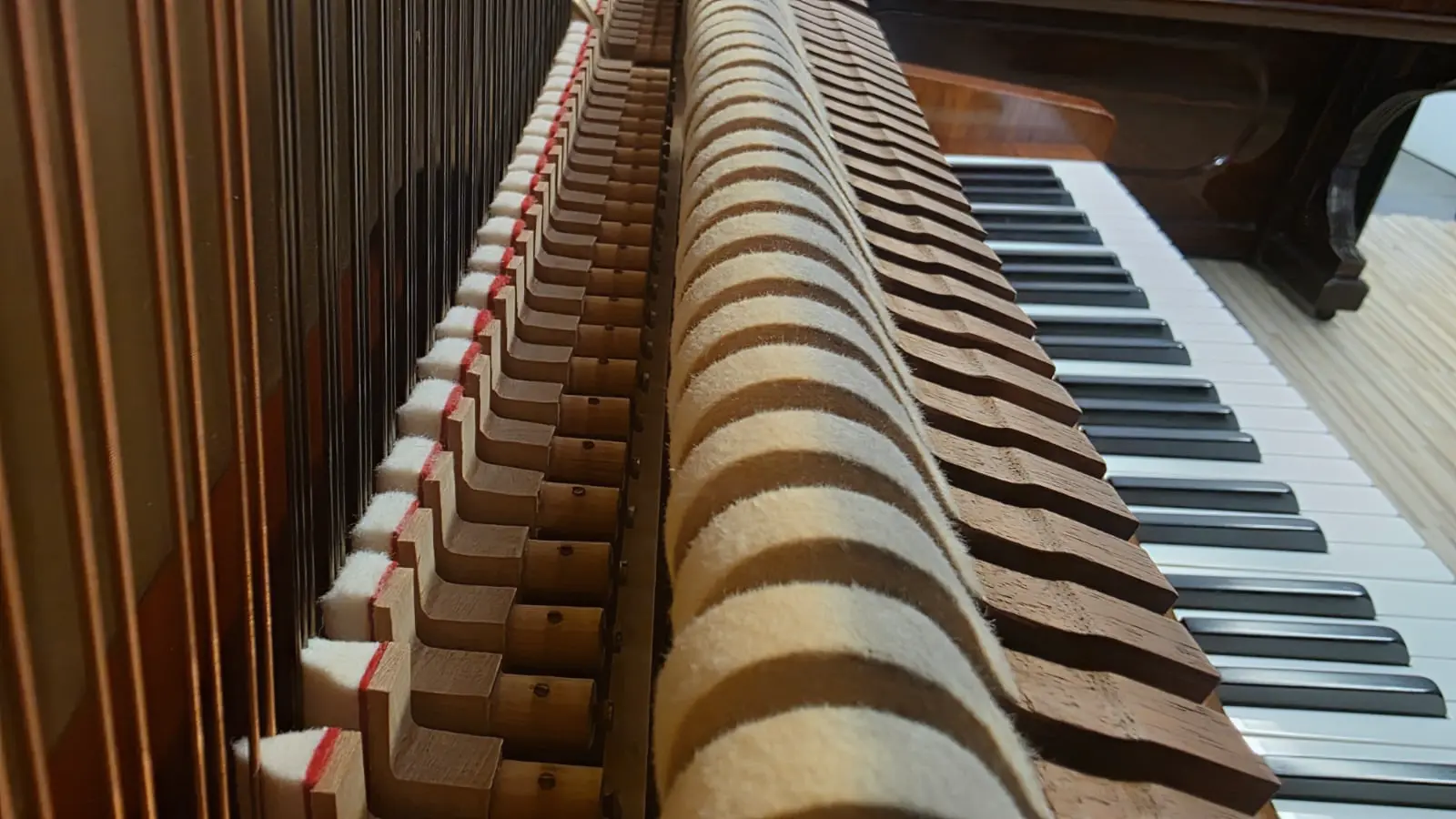 Dämpfung - STEINWAY & SONS Modell Z (Z-114)