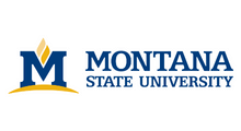 Montana State University, Bozeman