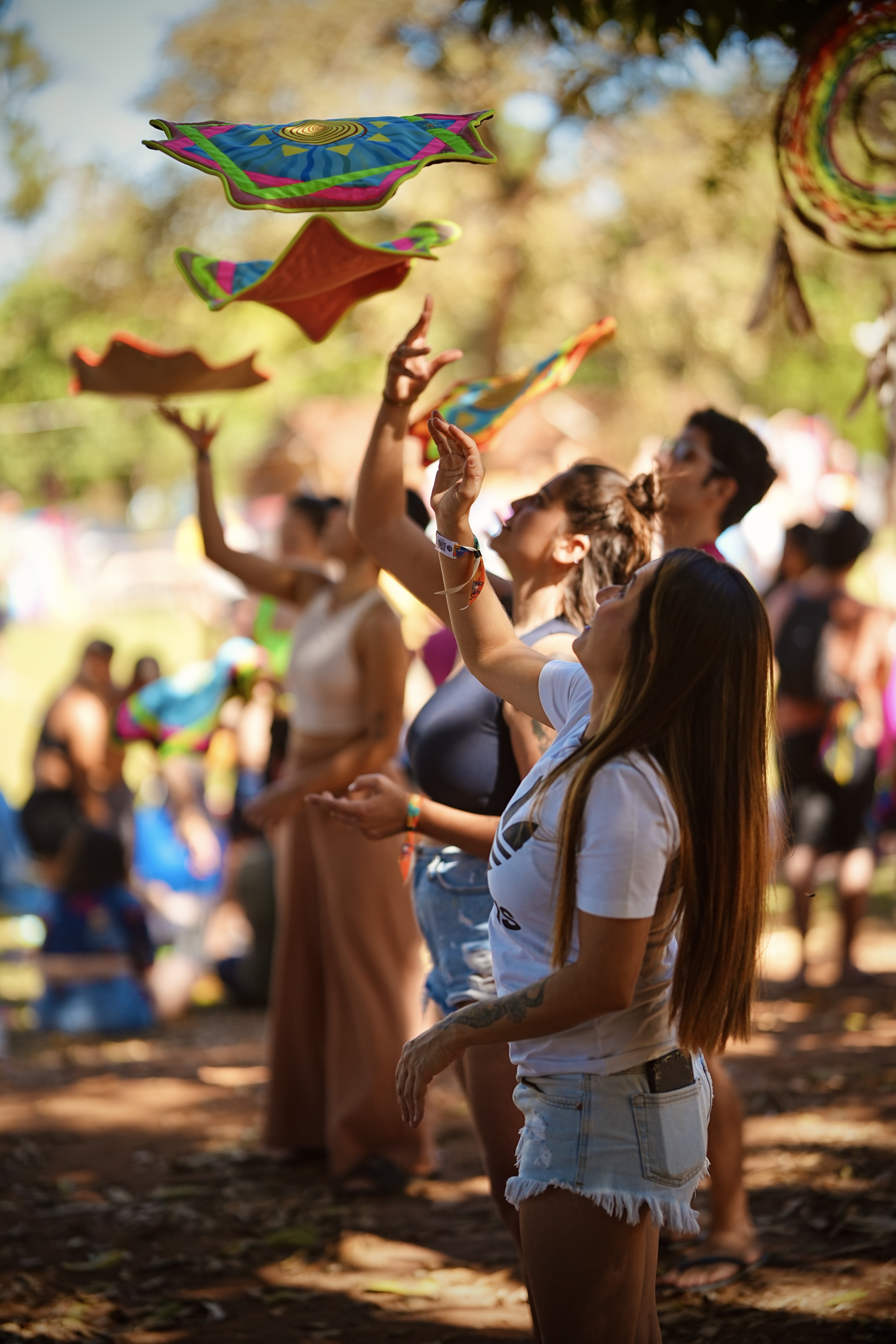 Treino Livre Dapo Brasil