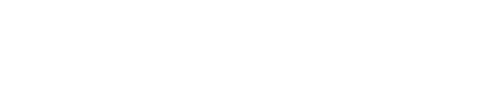 Democracy Works Logo