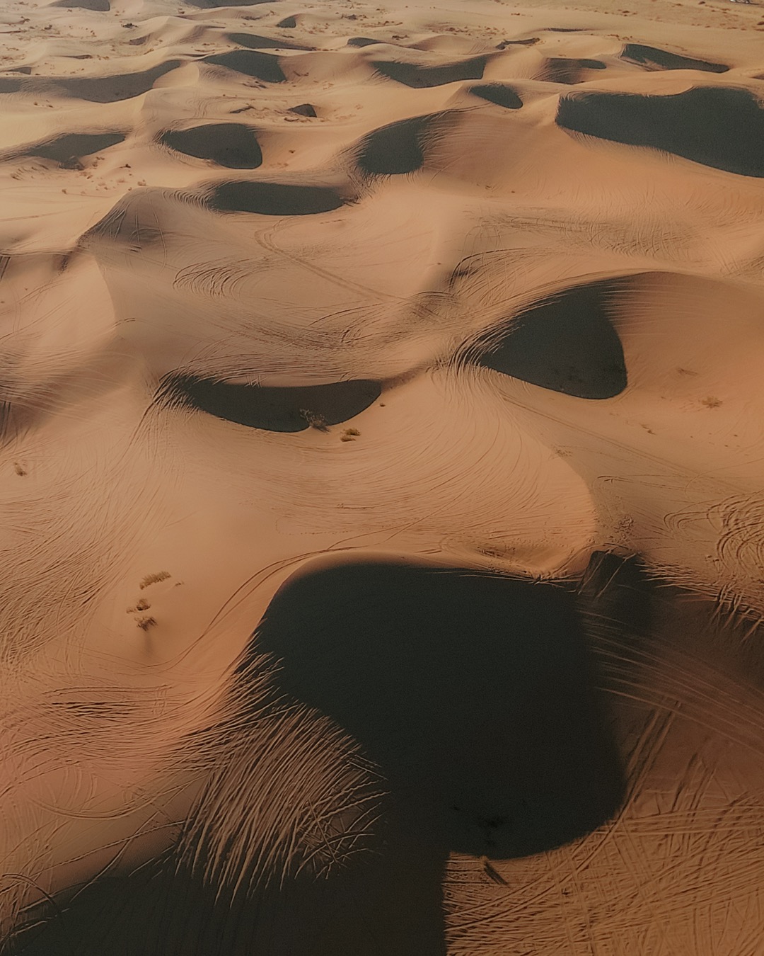 Glamis Desert Dunes California