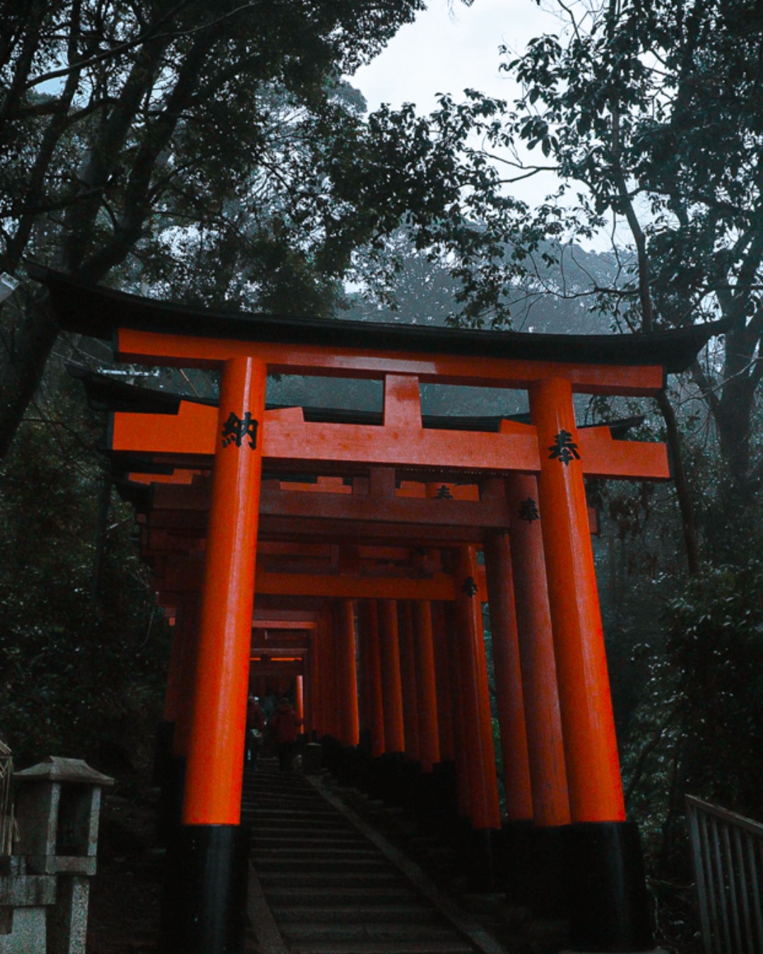  red tori gate in Kyoto, Japan Fushimi inari fox shrine and worship of deity shinto photo by Chrishaun Byrom
