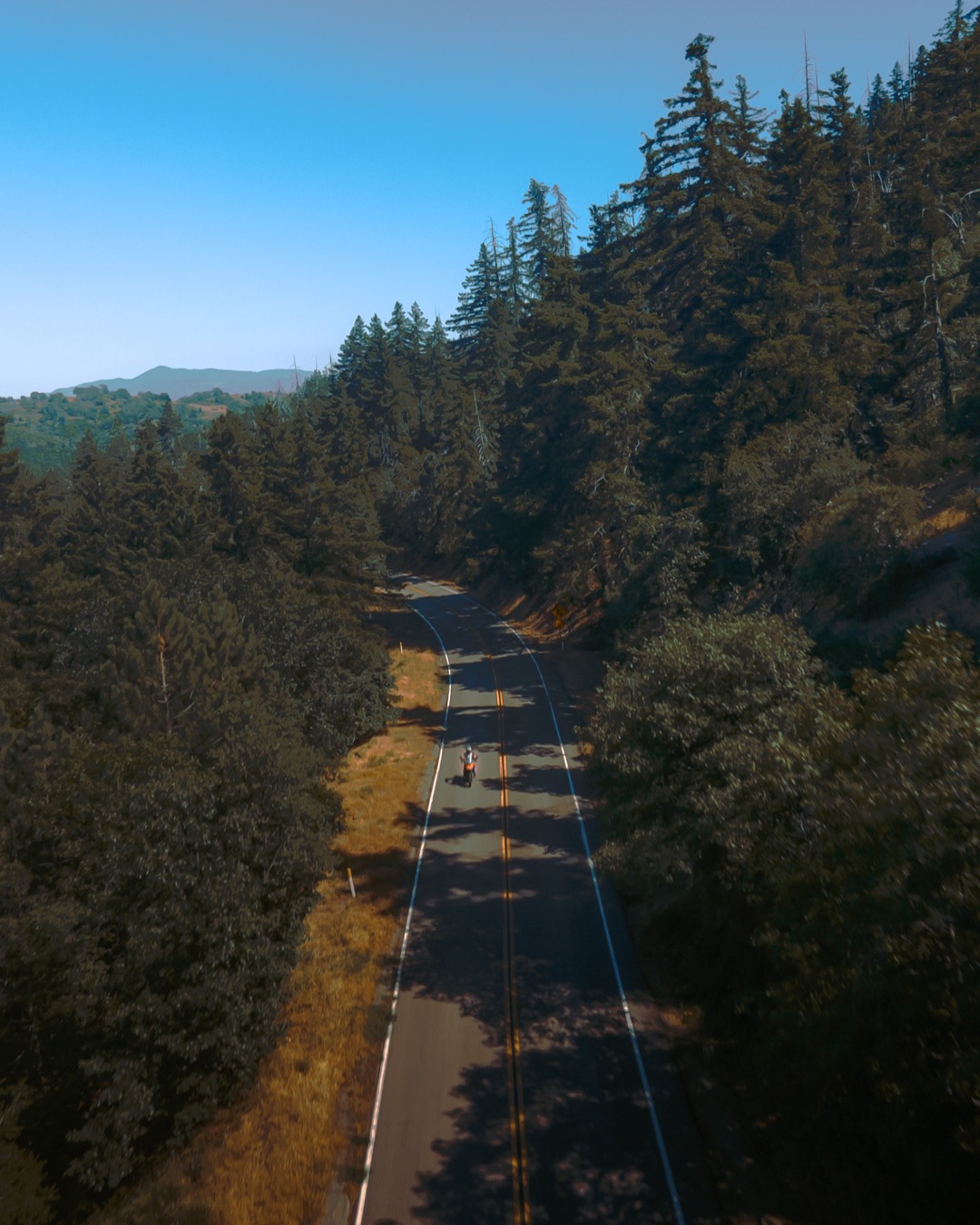 Cleveland National Forest California Palomar Mountain, CA 92060 photo by Chrishaun Byrom