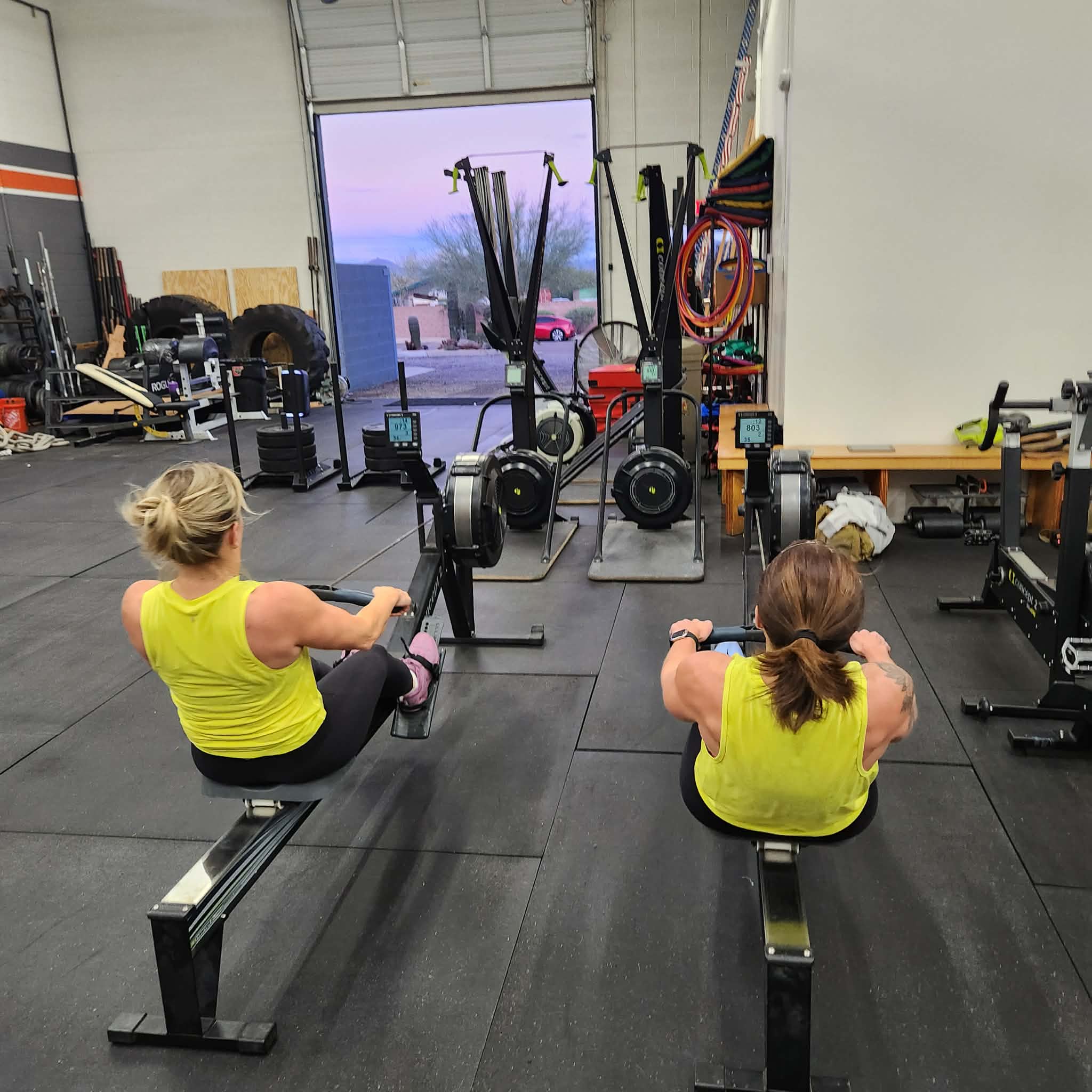 Programming Week of January 12-16, 2026