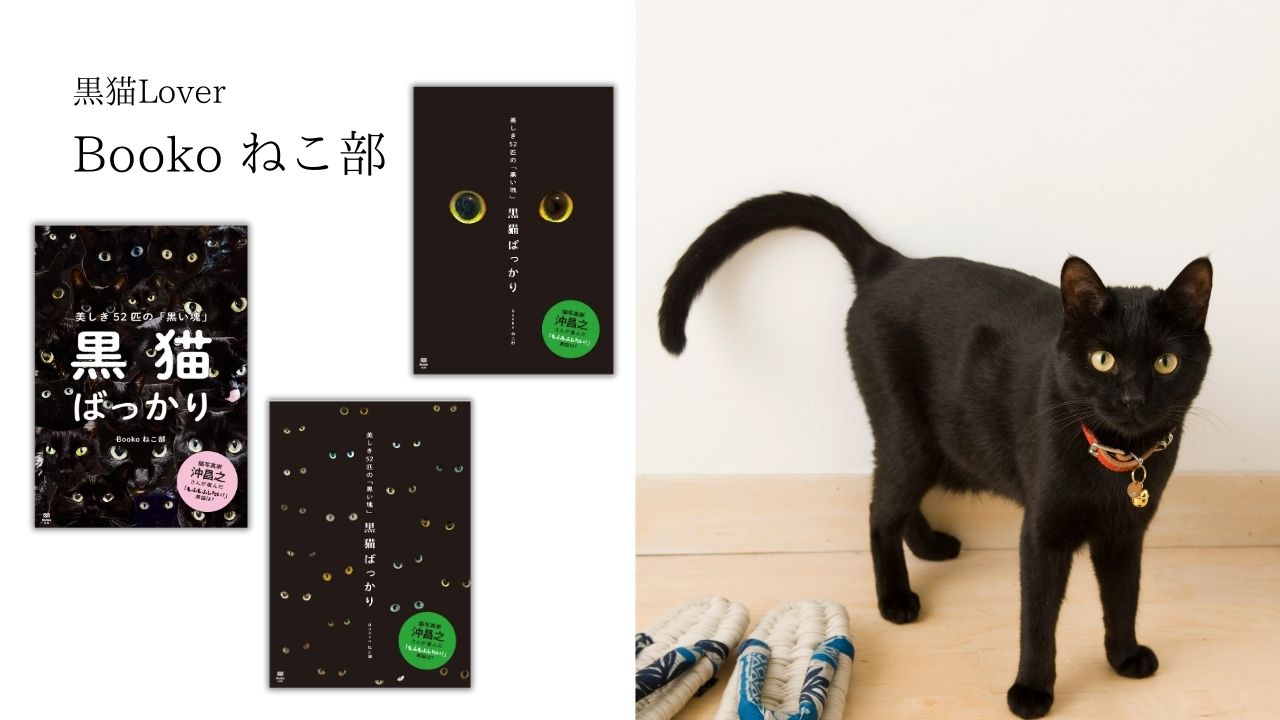 黒猫Jack(プロフ必読)様確認専用ページ【取り置き中】 【公式通販】