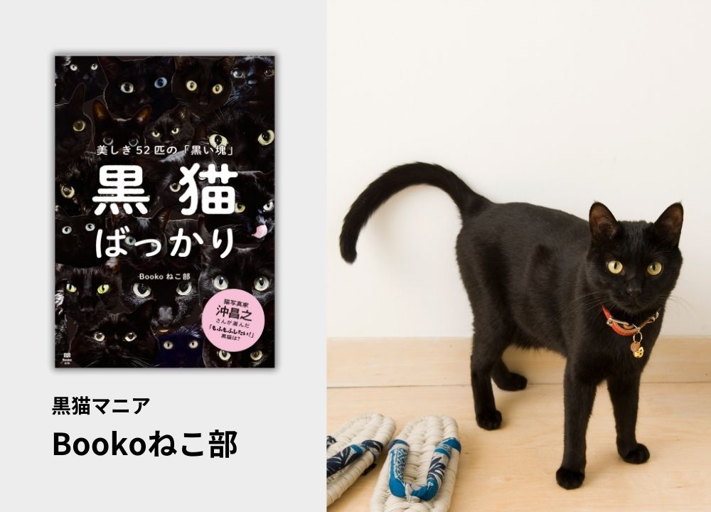 写真集を作るのはプロだけのもの」――そう思っていませんか？|本を作る