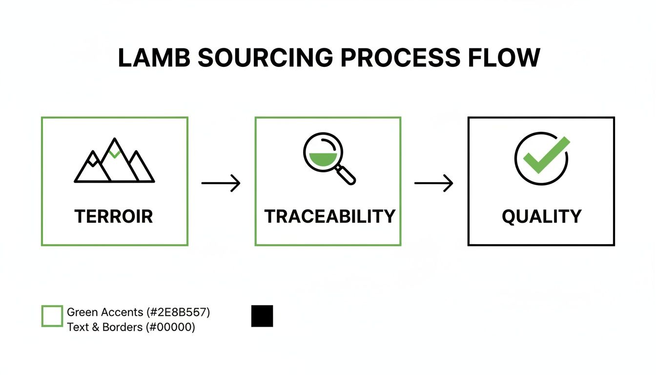 Flowchart detailing the lamb sourcing process, showing steps from Terroir and Traceability to Quality.