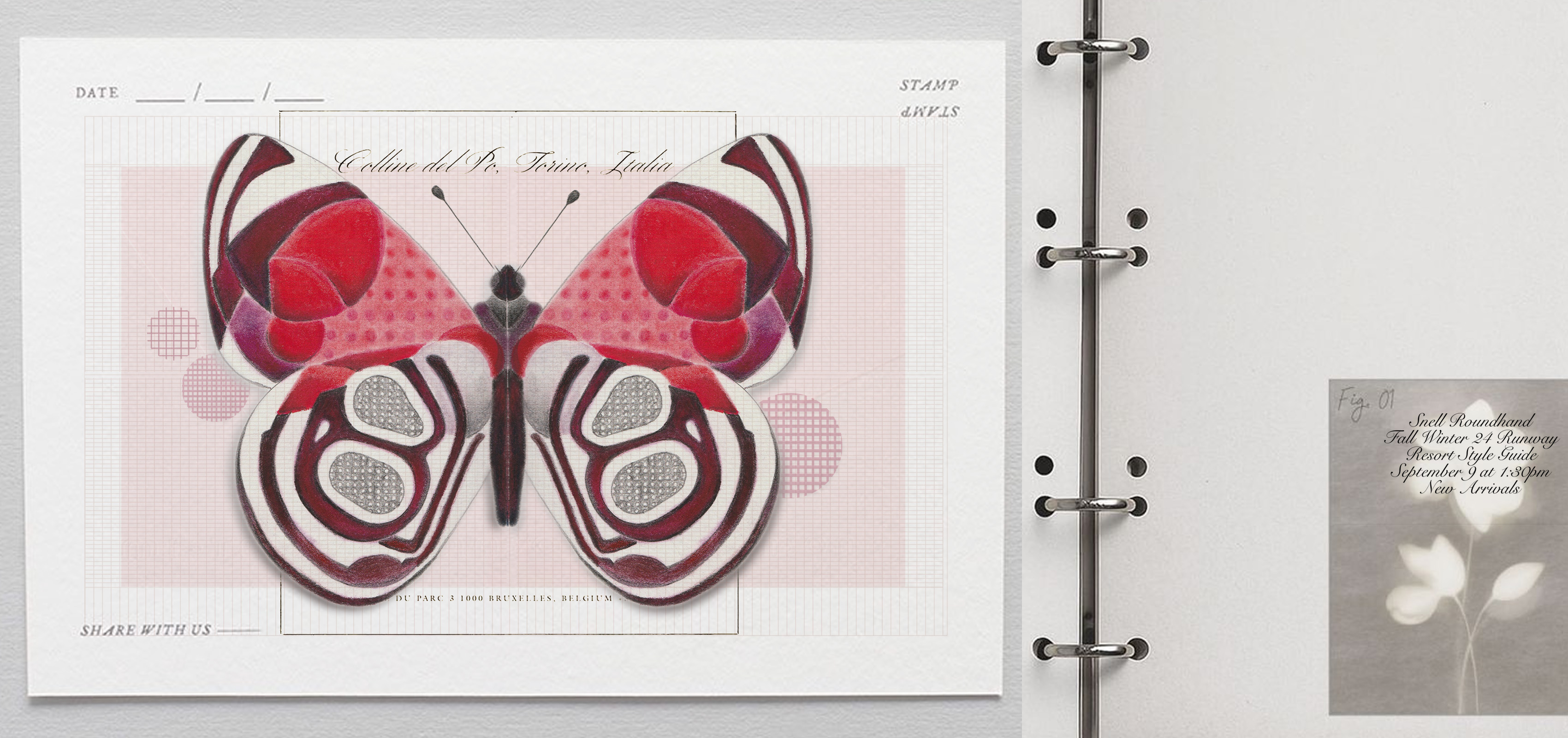 soft pastel butterflies