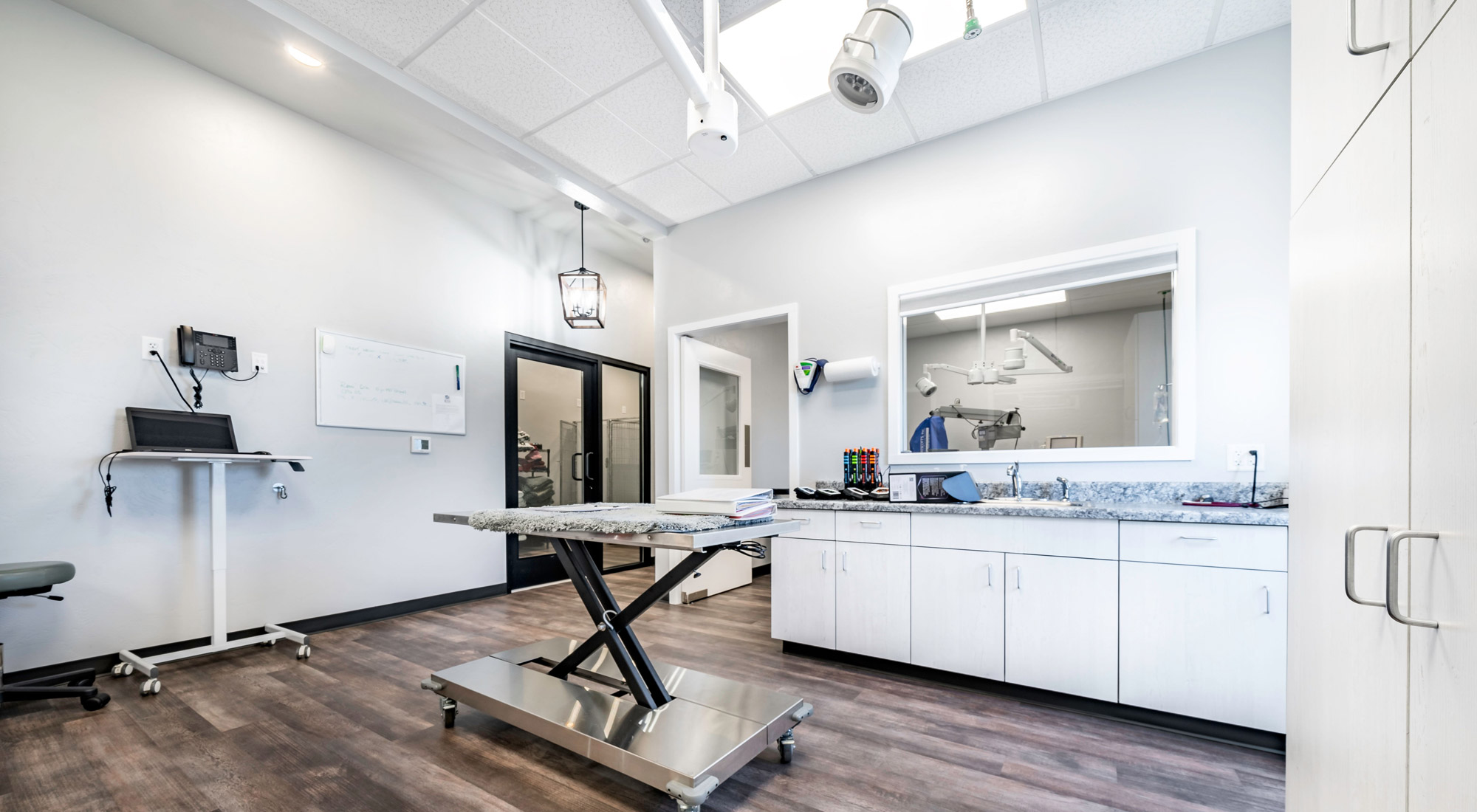 Bliss Animal Eye Care