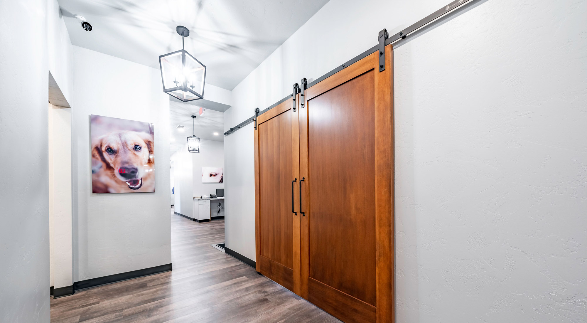 Bliss Animal Eye Care