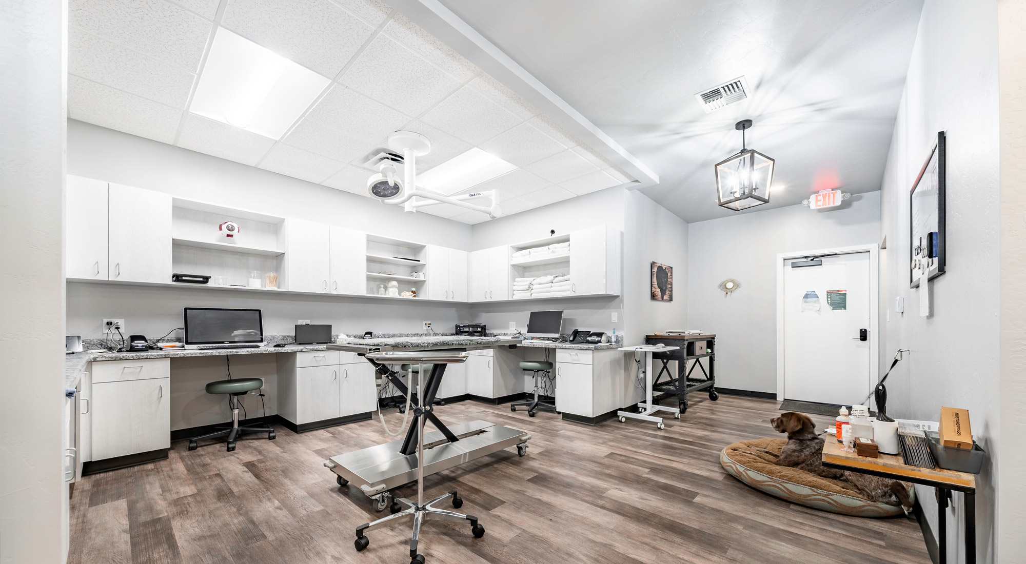 Bliss Animal Eye Care