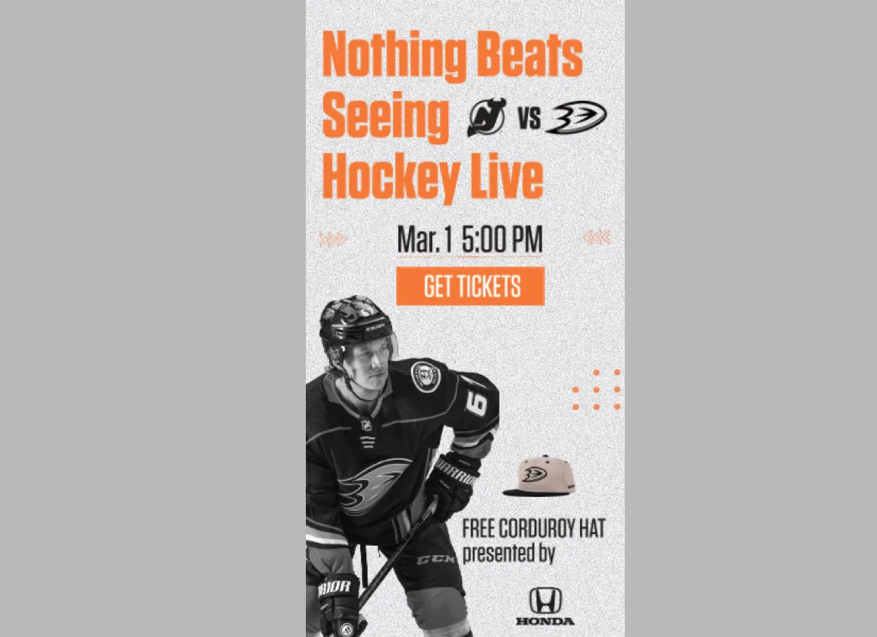 Digital ad design for a Hockey Brand.