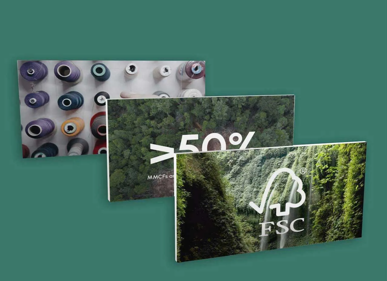 Motion Graphic & Video for the Forest Stewardship Council