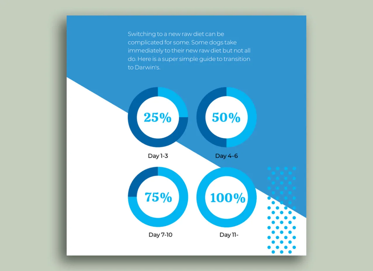 Slide from presentation design created for Darwin's Pets.