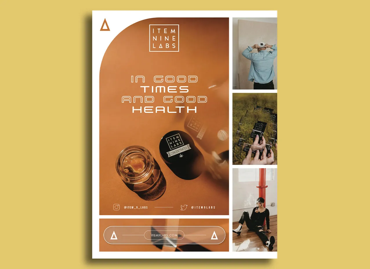 Brand guidelines created for Item 9 Labs.