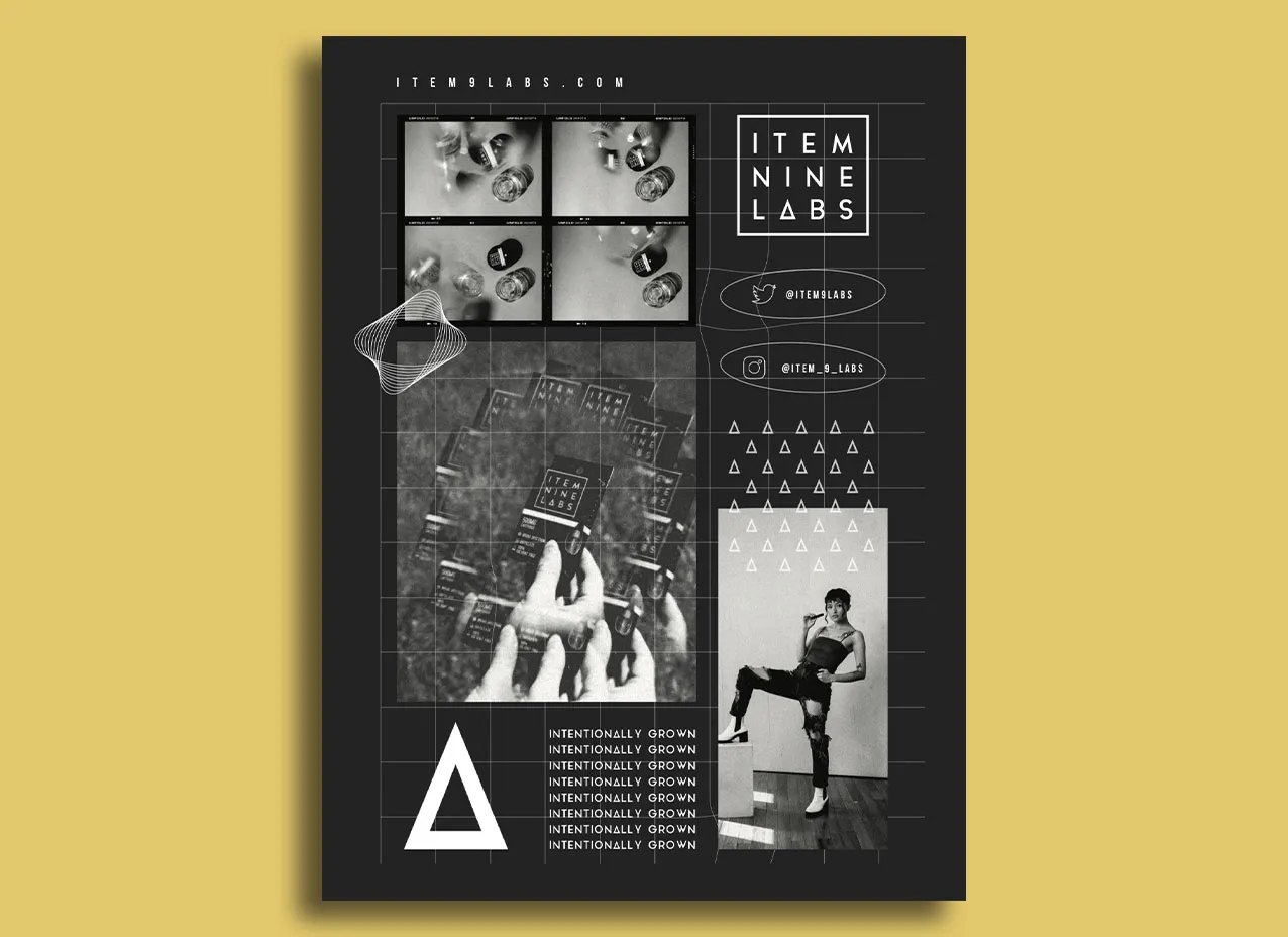 Brand guidelines created for Item 9 Labs.